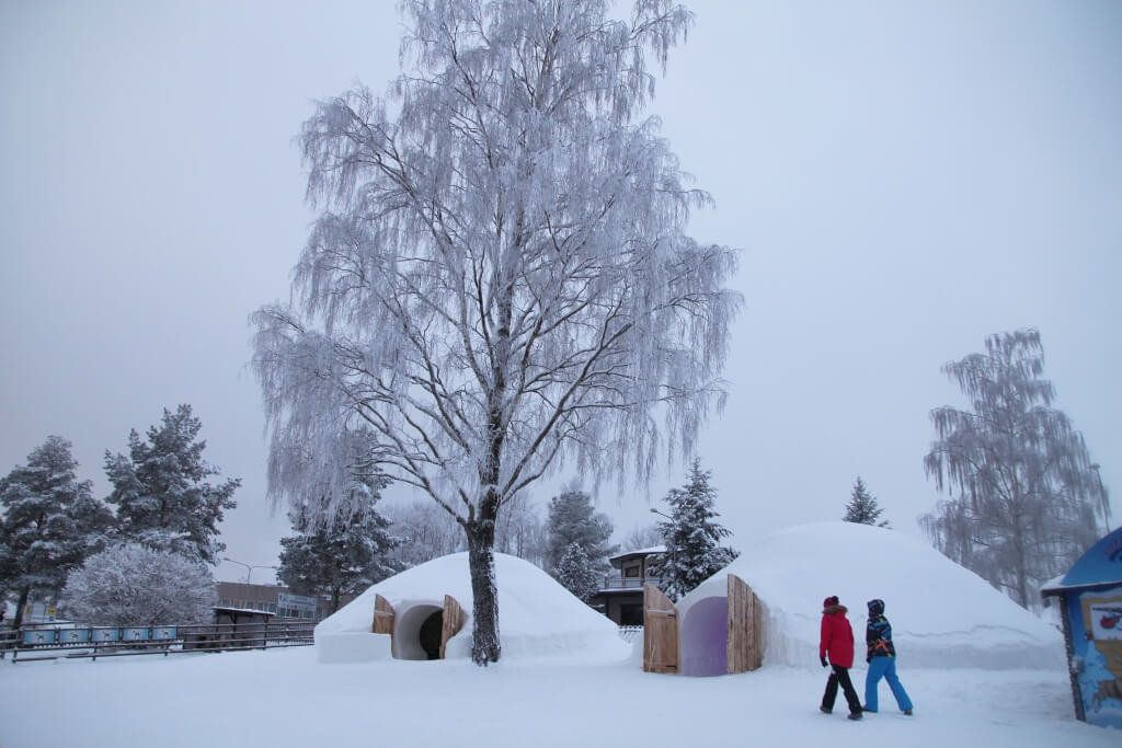 Foto: Ilmo Tamm