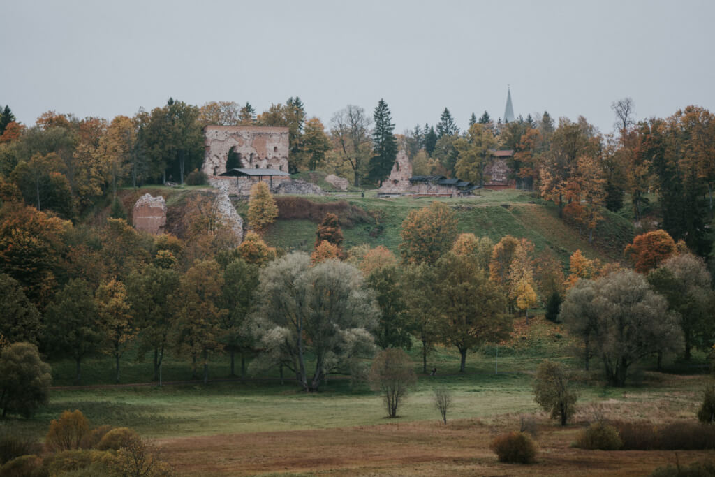 Viljandi