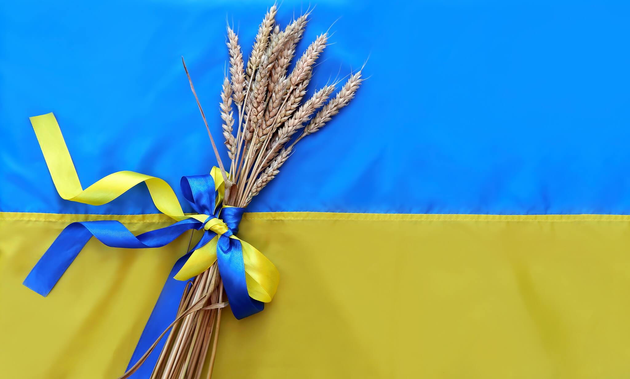 Ukraina