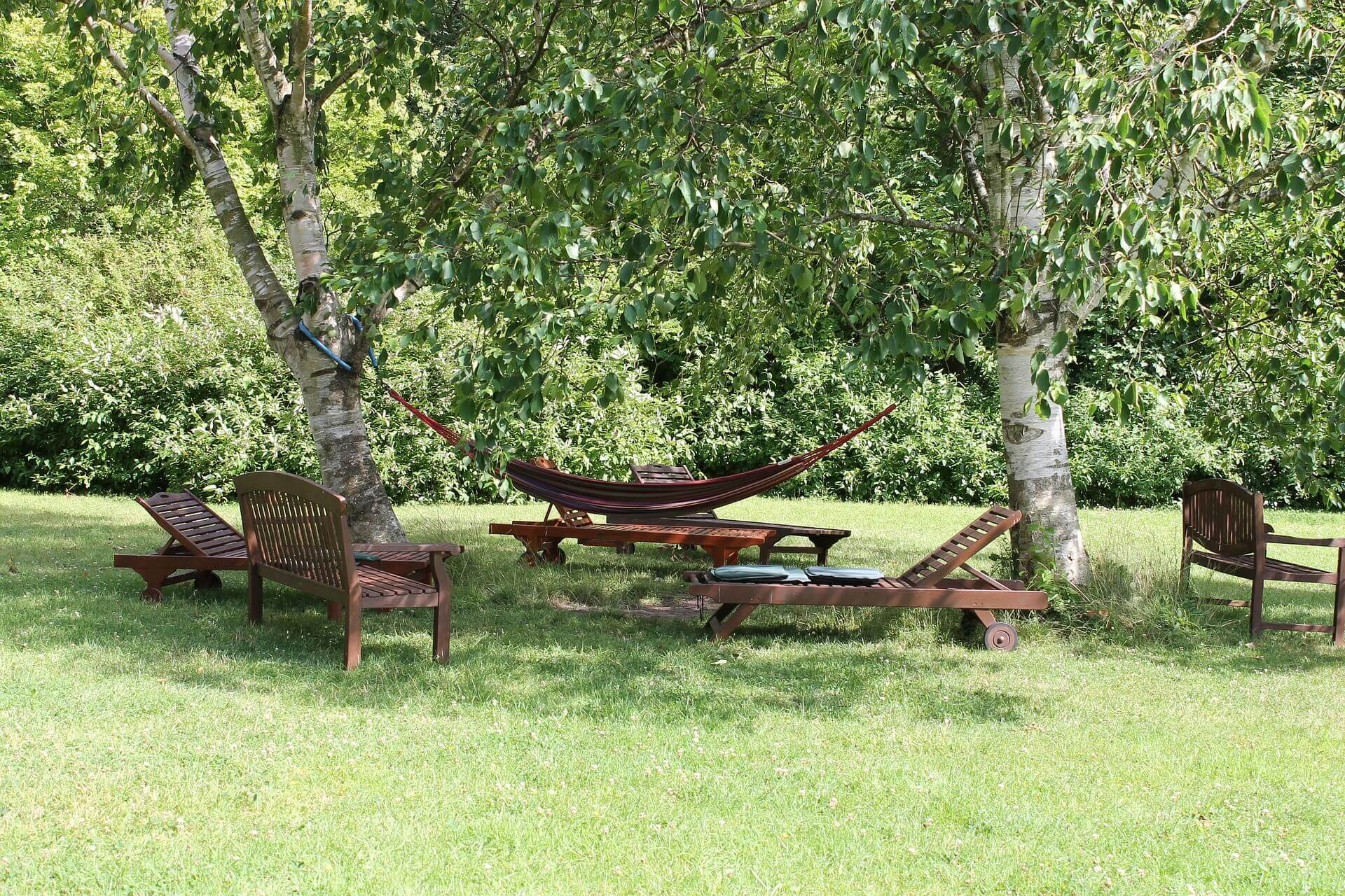 Võrkkiik (Foto Pixabay)