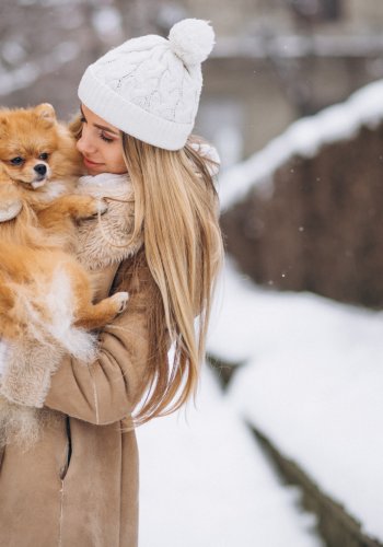 NÕUANDED I Talvel koeraga reisile: mida silmas pidada, et lemmiklooma jaoks oleks reis turvaline