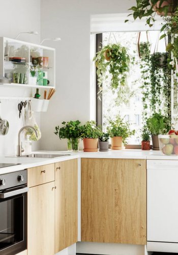 5 nippi, kuidas istikud kodus paremini mõjuma panna