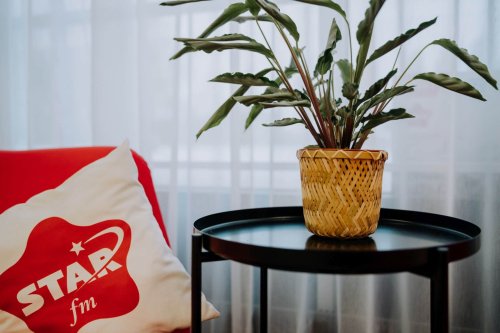 Jane-Hassan-Star-FM-hommikuprogramm-Foto-Joosep-Ints-118