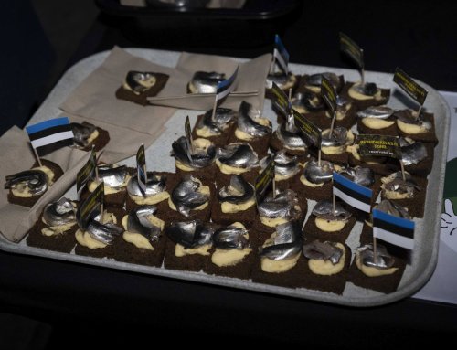 Eesti-Vabariigi-108-aastapaeva-tahistamine-Foto-Erik-Peinar-010