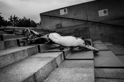Diverse-Universe-performance-KUMUs-Foto-Arvo-Sailev-168