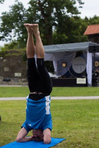 IMG 6456-8