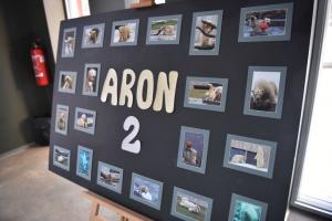 Aron 14