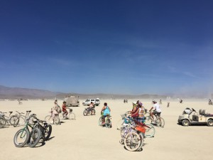 IMG 4603