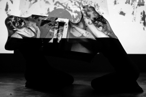 Diverse-Universe-Performance-Festival-Vol-2-Defibrillator-Foto-Peter-Rosvik-13