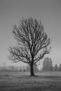 EGCC Links Masters by Delux _002