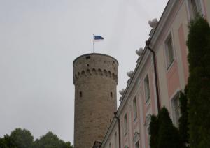 Eesti lipu päev 07