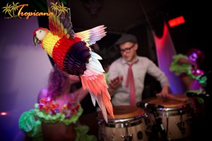img_0058