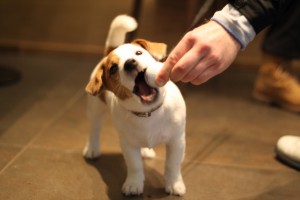 IMG_2740