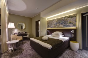 20 Hotel Palace Standard Single (2)