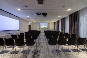 8 Hotel Palace conference (2)