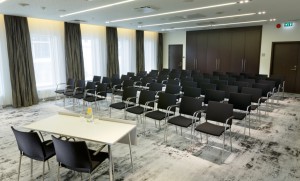 8 Hotel Palace conference (5)