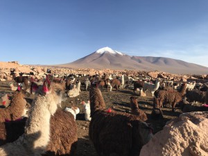 JoelJuht Boliivias 17