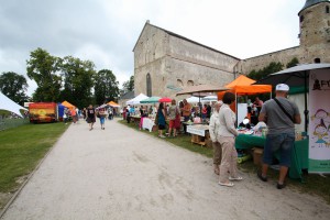 IMG_6344-3