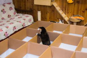 IMG_8492-2