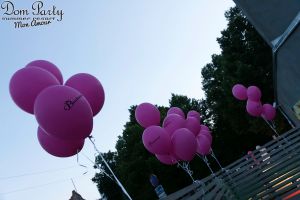 img_26_0577