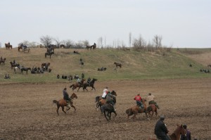 img_0430