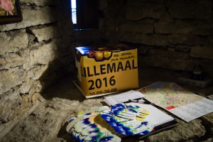Lillenäitus2016_small-11