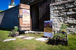Lillenäitus2016_small-3