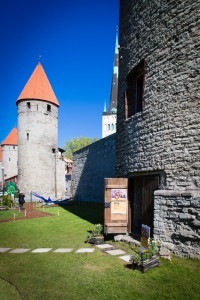 Lillenäitus2016_small-5