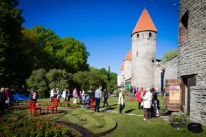 Lillenäitus2016_small-54