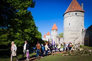 Lillenäitus2016_small-55