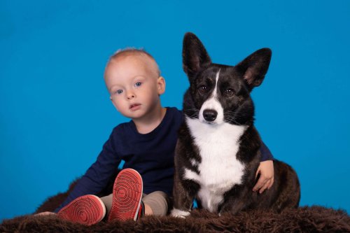 Lemmiku-paev-Foto-Reigo-Reinomagi-022