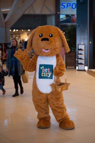 Lemmiku-paev-Foto-Reigo-Reinomagi-097