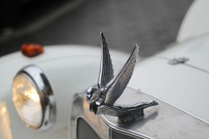 LuxLimu08