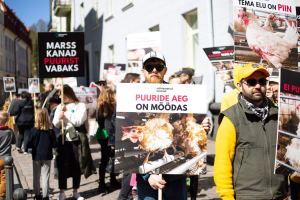 Marss-kanad-puurist-vabaks-Foto-Merit-Lehtsalu-07