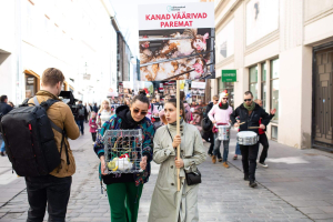 Marss-kanad-puurist-vabaks-Foto-Merit-Lehtsalu-25