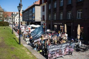 Marss-kanad-puurist-vabaks-Foto-Merit-Lehtsalu-28