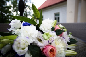 IMGP0069