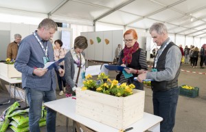 Noor Meister 2017 062