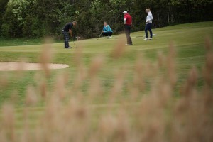 Arigolf_39