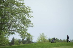 Arigolf_46