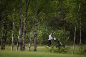 Arigolf_60