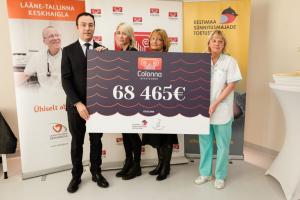 Pelgulinna 31