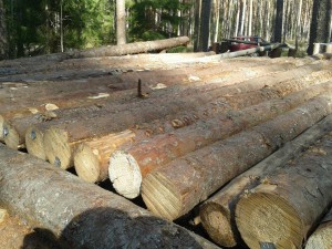 Porgupohja punkri ehitamine18