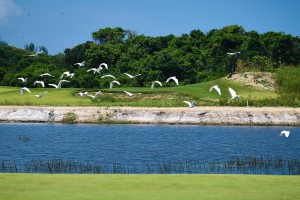 OlymicGolf16_27