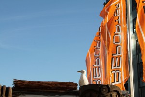 IMG_2639