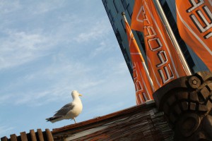 IMG_2933