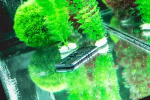 SamsungGalaxy_160310_093