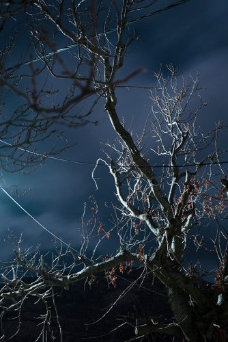 Ioanna Sakellaraki Greece Student Photographer of the Year 2020 Sony World Photography Awards
