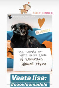 soovloomadele9