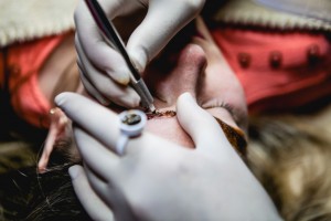 IMG 4265